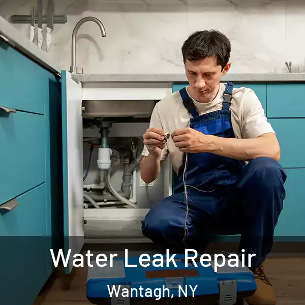  Water Leak Repair Wantagh, NY